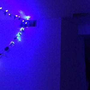 Meet your Posher, Isabelle